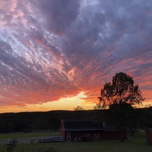 Meet your Posher, Kara